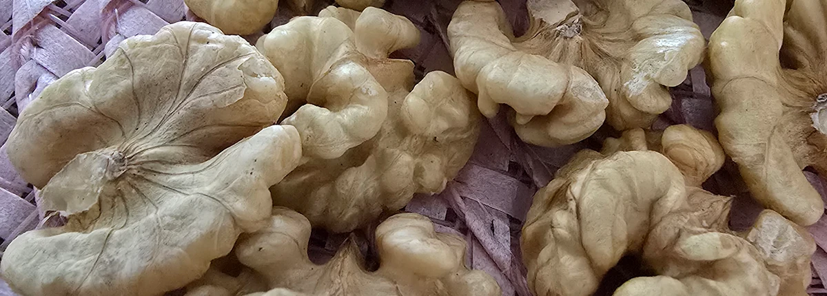 مغز گردو درجه یک