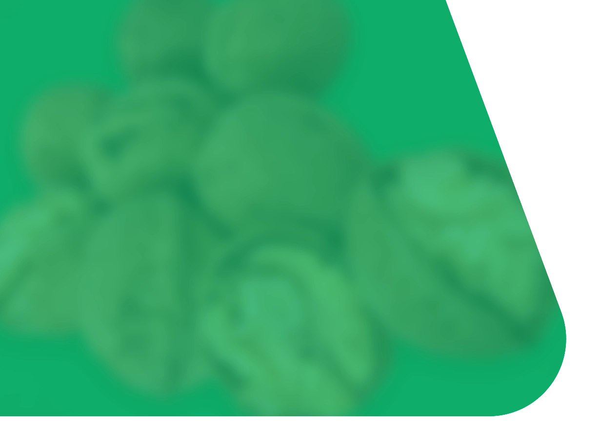 گردو درجه یک bg-back