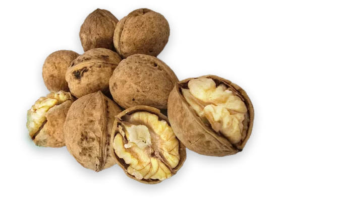 گردو درجه یک-bg